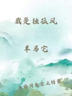 我是独孤凤