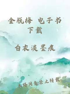 金瓶梅 电子书下载