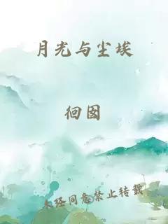 月光与尘埃
