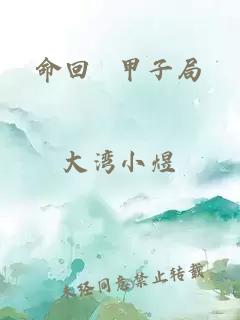 命回 甲子局