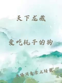 天下龙藏